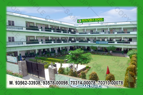 Image Not found On The Server